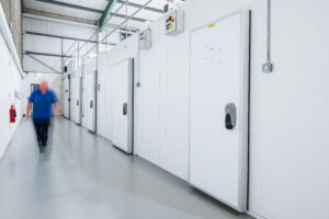 GDP Storage Service at Q1 Scientific